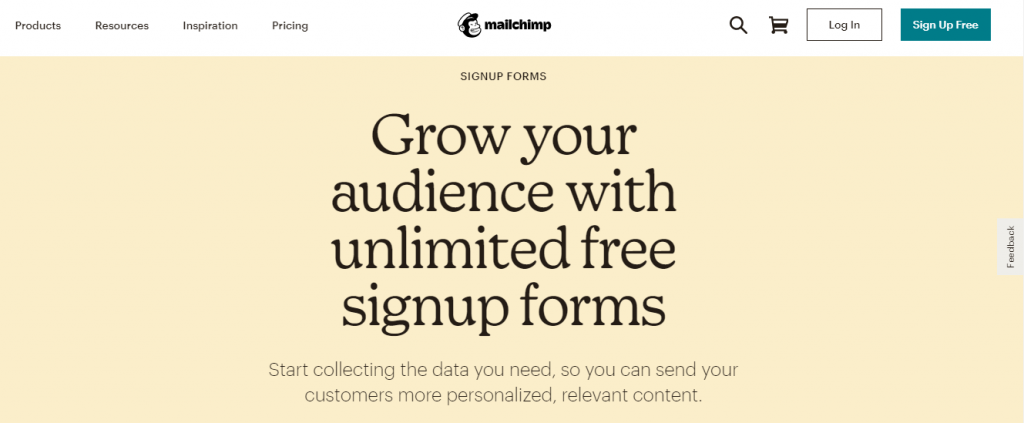 Mailchimp lead generation form screenshot.