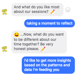 Outro exemplo de chatbot.