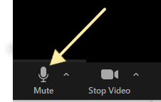 Mute microphone on Zoom.